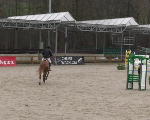 Reitturnier Balve-Wocklum 2023