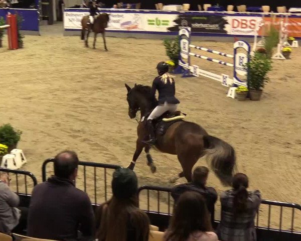FEI Reitturnier Neumünster (GER) 2021
