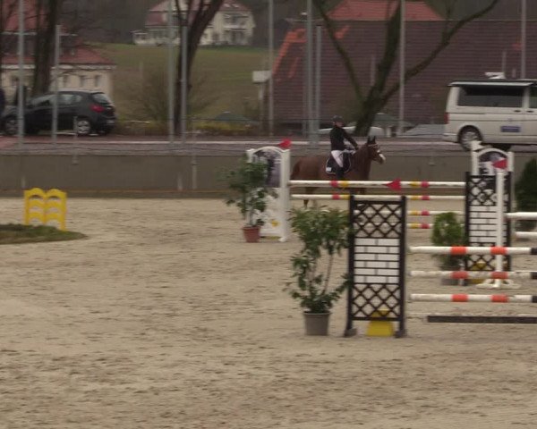 Reitturnier Balve-Wocklum 2023