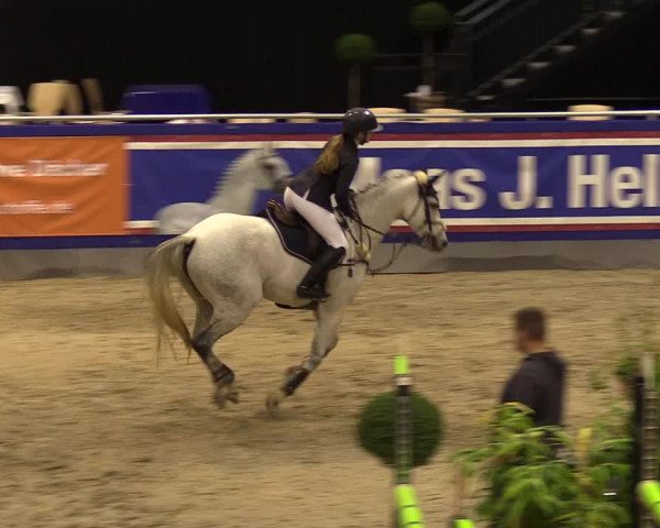 FEI Reitturnier Neumünster (GER) 2021