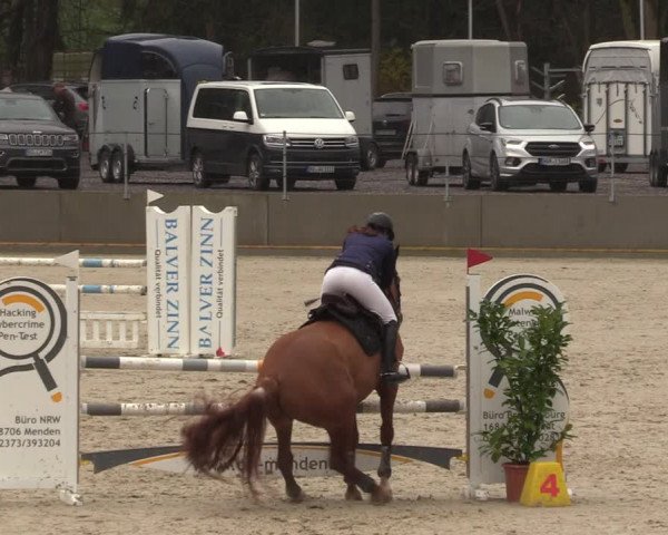 Reitturnier Balve-Wocklum 2023
