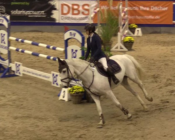 FEI Reitturnier Neumünster (GER) 2021
