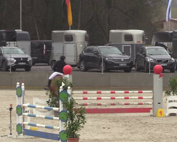 Reitturnier Balve-Wocklum 2023