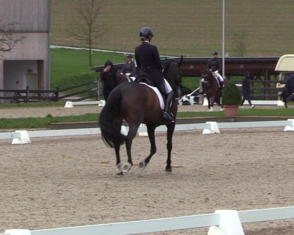 Reitturnier Balve-Wocklum 2023