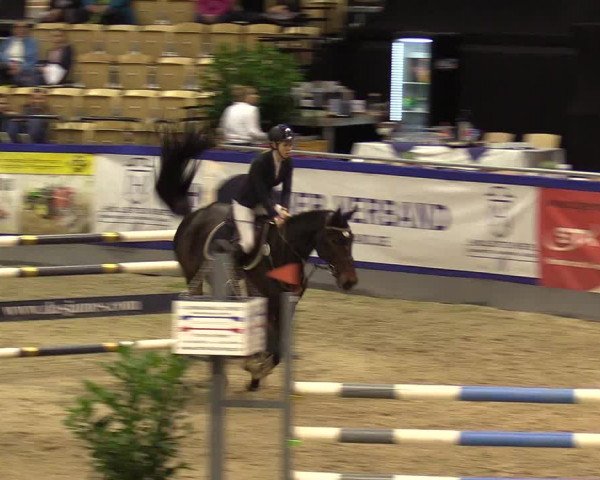 FEI Reitturnier Neumünster (GER) 2021