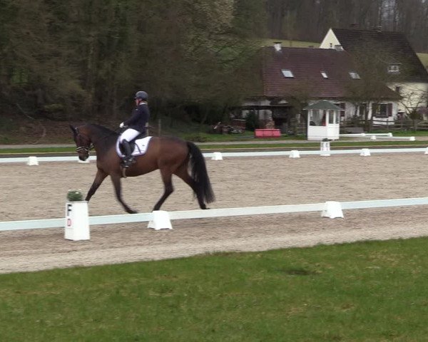Reitturnier Balve-Wocklum 2023