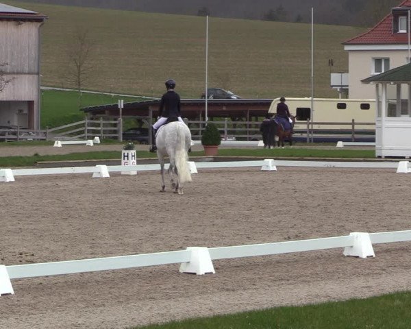 Reitturnier Balve-Wocklum 2023