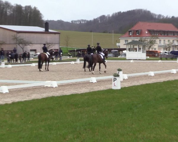 Reitturnier Balve-Wocklum 2023