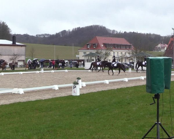 Reitturnier Balve-Wocklum 2023