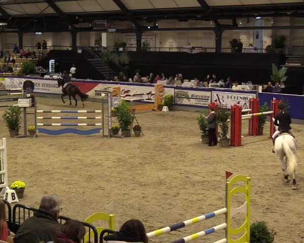 FEI Reitturnier Neumünster (GER) 2021