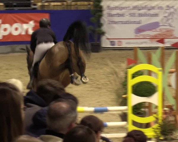 FEI Reitturnier Neumünster (GER) 2021
