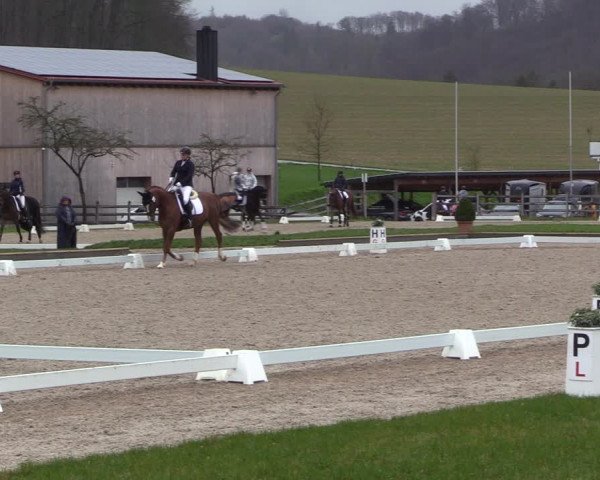Reitturnier Balve-Wocklum 2023