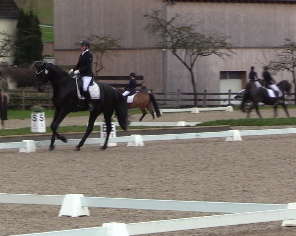 Reitturnier Balve-Wocklum 2023