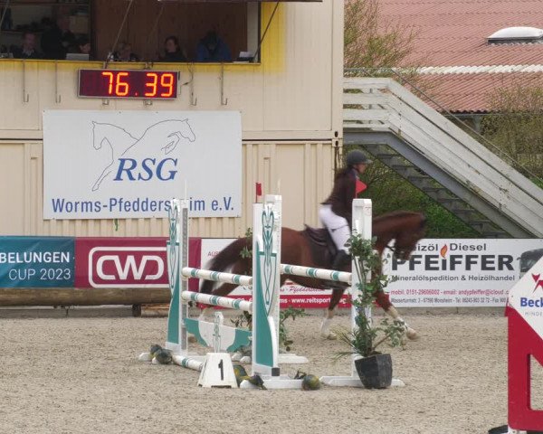 Reitturnier Worms-Pfeddersheim / Reitsportanlage Wittemer 2023