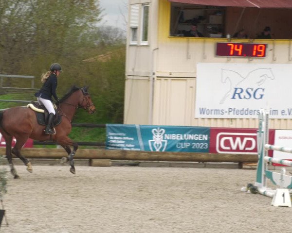 Reitturnier Worms-Pfeddersheim / Reitsportanlage Wittemer 2023