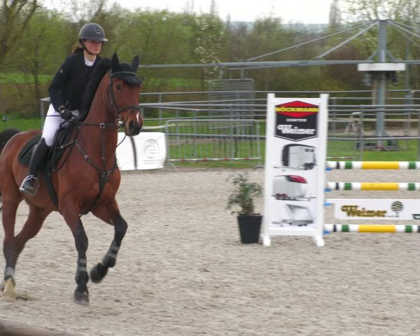 Reitturnier Worms-Pfeddersheim / Reitsportanlage Wittemer 2023