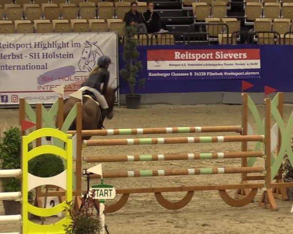 FEI Reitturnier Neumünster (GER) 2021