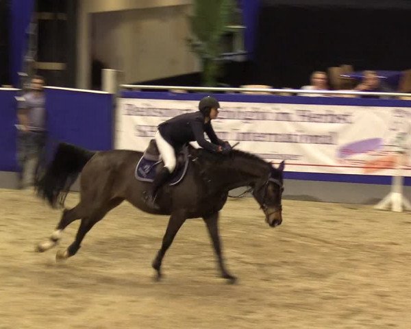 FEI Reitturnier Neumünster (GER) 2021