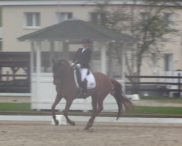 Reitturnier Balve-Wocklum 2023
