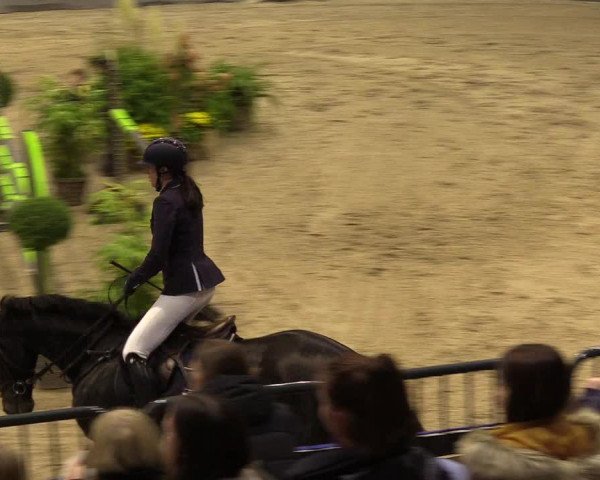 FEI Reitturnier Neumünster (GER) 2021
