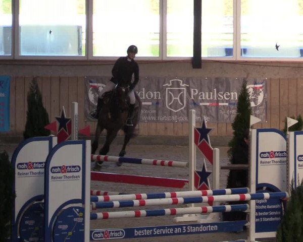 Reitturnier Niebüll 2023