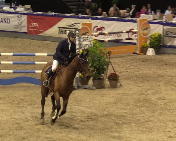 FEI Reitturnier Neumünster (GER) 2021