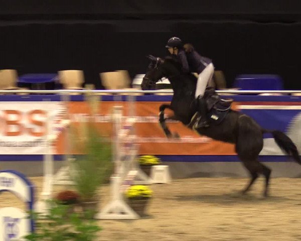 FEI Reitturnier Neumünster (GER) 2021