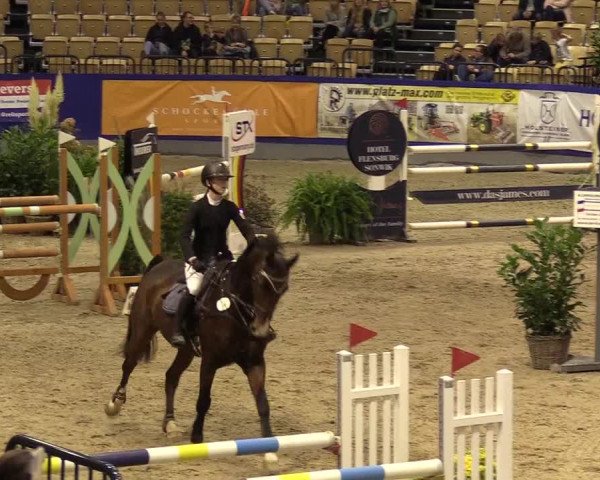 FEI Reitturnier Neumünster (GER) 2021