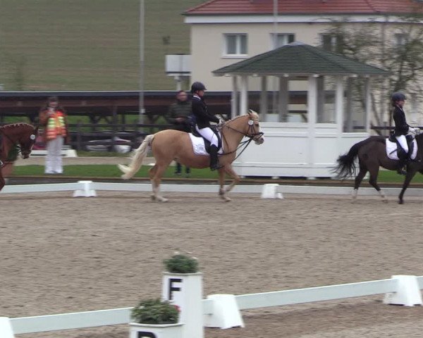 Reitturnier Balve-Wocklum 2023