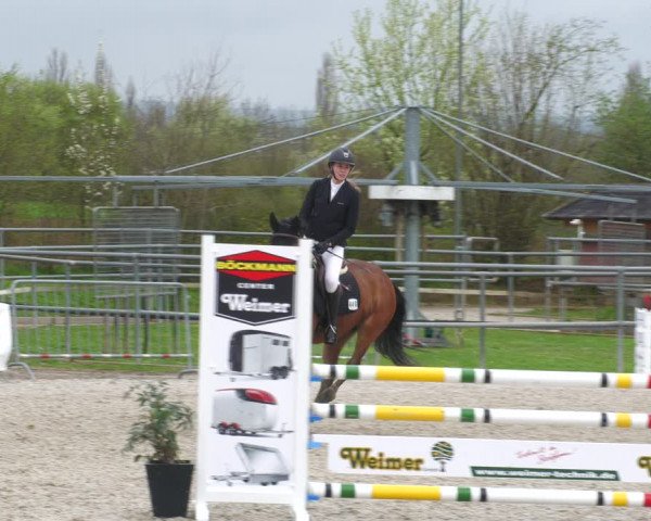 Reitturnier Worms-Pfeddersheim / Reitsportanlage Wittemer 2023