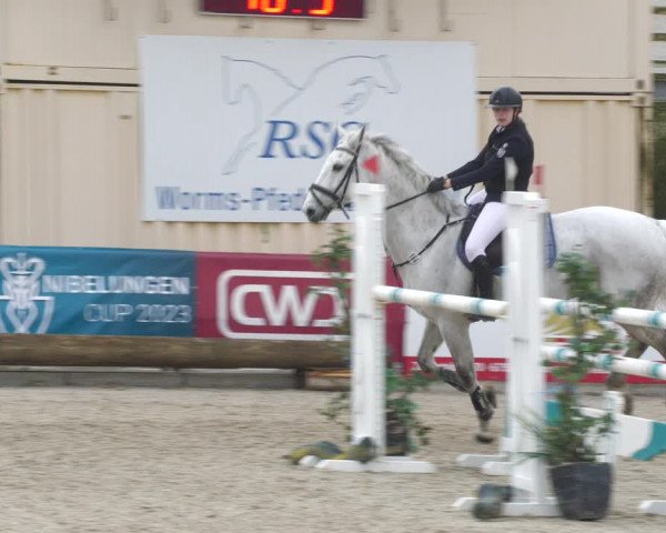 Reitturnier Worms-Pfeddersheim / Reitsportanlage Wittemer 2023