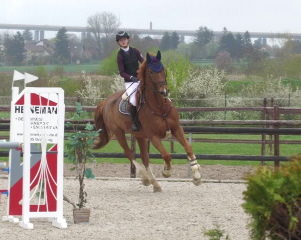 Reitturnier Worms-Pfeddersheim / Reitsportanlage Wittemer 2023