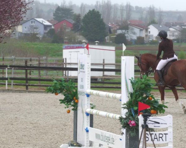 Reitturnier Worms-Pfeddersheim / Reitsportanlage Wittemer 2023