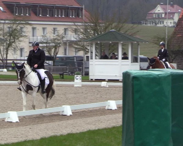 Reitturnier Balve-Wocklum 2023