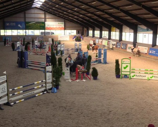 Reitturnier Niebüll 2023