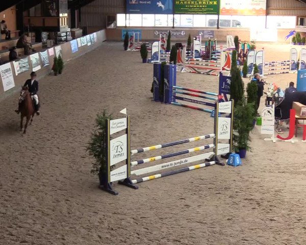 Reitturnier Niebüll 2023