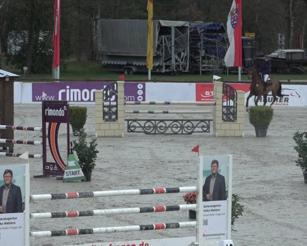Reitturnier Westergellersen 2023