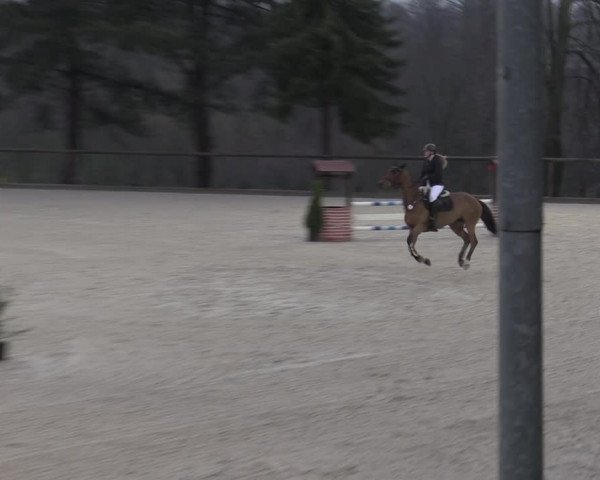 Reitturnier Erkrath - Uhlenhof 2023