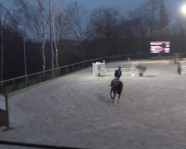 Reitturnier Erkrath - Uhlenhof 2023