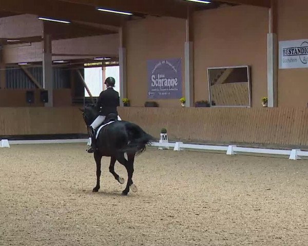Reitturnier Grafenrheinfeld/Ufr. 2021