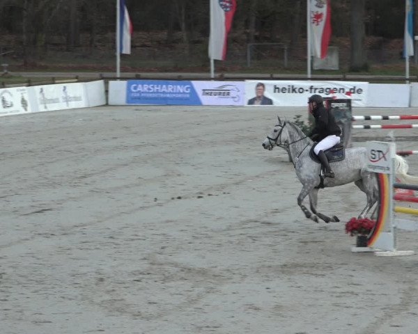 Reitturnier Westergellersen 2023