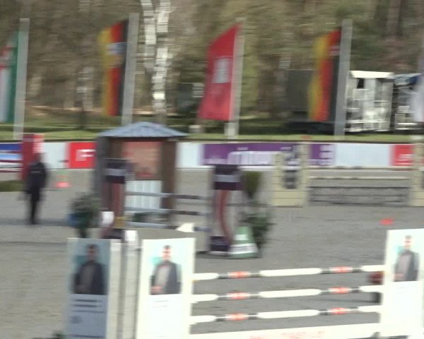 Reitturnier Westergellersen 2023