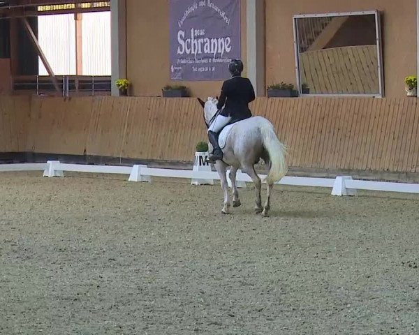 Reitturnier Grafenrheinfeld/Ufr. 2021
