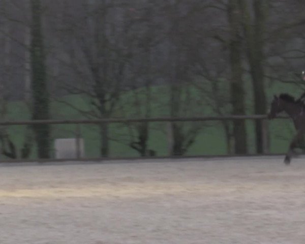 Reitturnier Erkrath - Uhlenhof 2023