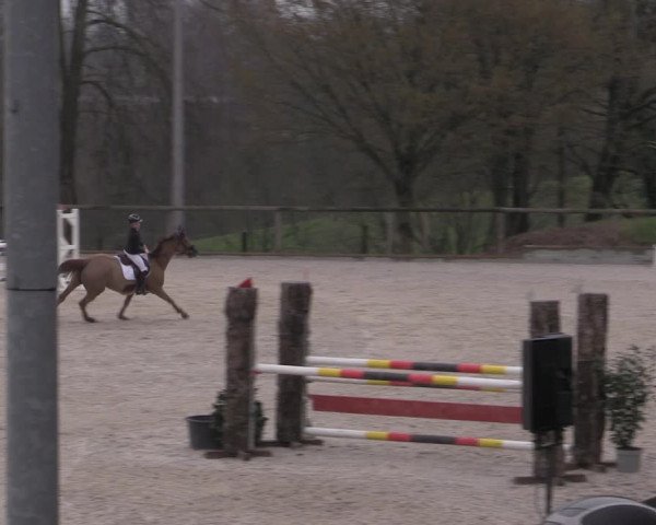 Reitturnier Erkrath - Uhlenhof 2023
