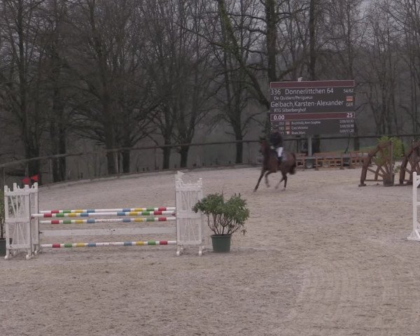 Reitturnier Erkrath - Uhlenhof 2023