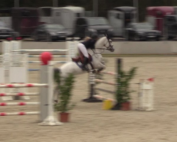 Reitturnier Balve-Wocklum 2023