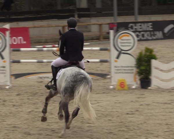 Reitturnier Balve-Wocklum 2023