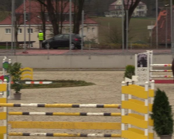 Reitturnier Balve-Wocklum 2023