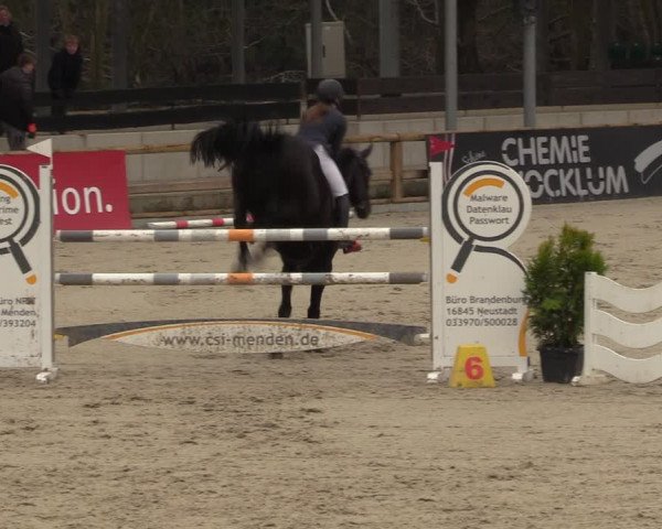 Reitturnier Balve-Wocklum 2023
